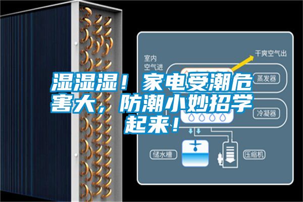 濕濕濕！家電受潮危害大，防潮小妙招學起來！