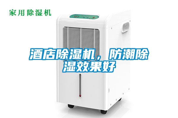 酒店除濕機，防潮除濕效果好
