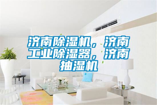 濟南除濕機，濟南工業除濕器，濟南抽濕機