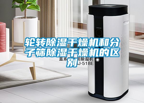 輪轉除濕干燥機和分子篩除濕干燥機的區別