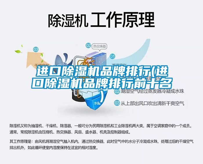 進口除濕機品牌排行(進口除濕機品牌排行前十名)