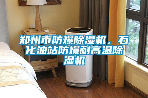 鄭州市防爆除濕機，石化油站防爆耐高溫除濕機