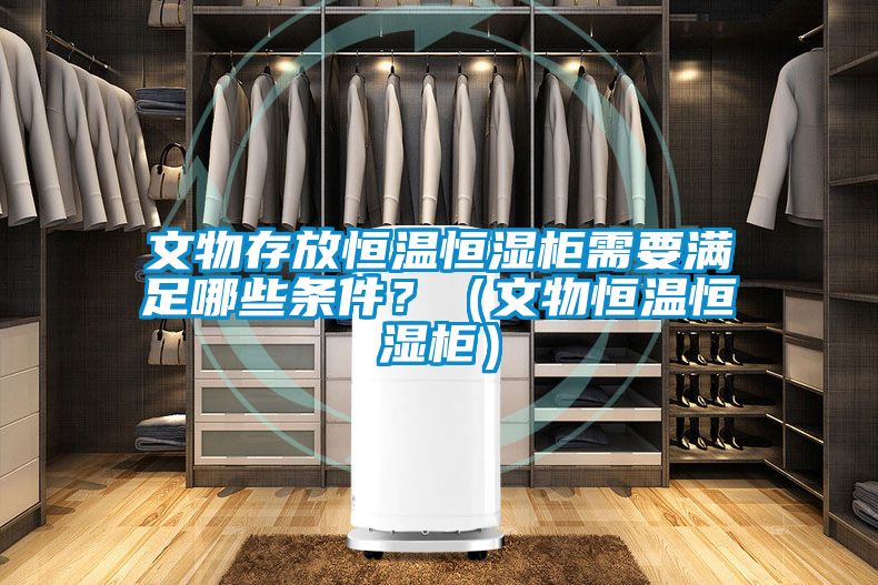 文物存放恒溫恒濕柜需要滿足哪些條件？（文物恒溫恒濕柜）