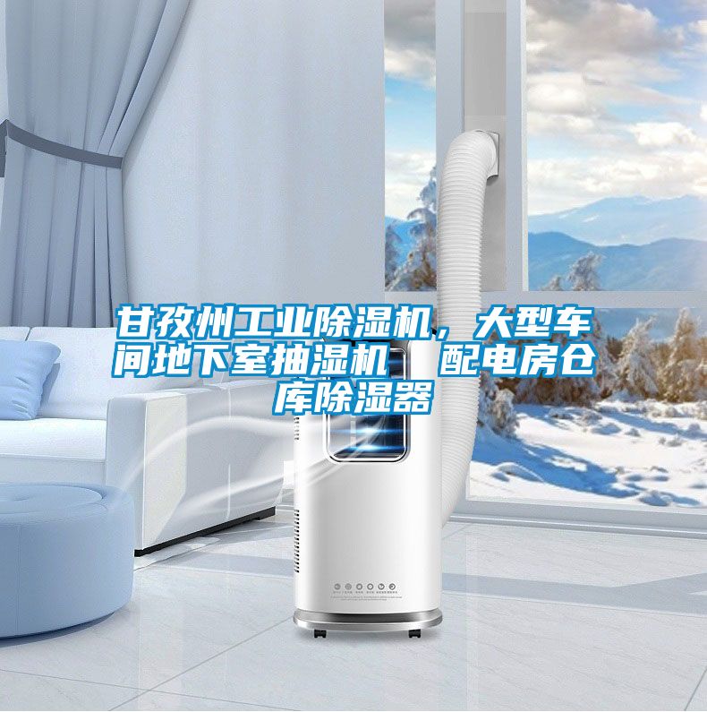 甘孜州工業除濕機，大型車間地下室抽濕機  配電房倉庫除濕器