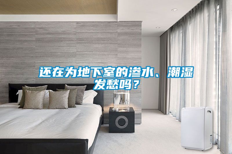 還在為地下室的滲水、潮濕發愁嗎？