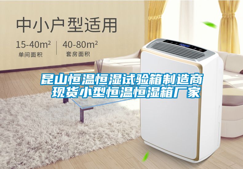 昆山恒溫恒濕試驗箱制造商 現貨小型恒溫恒濕箱廠家