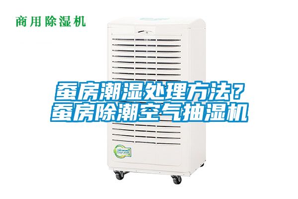 蠶房潮濕處理方法？蠶房除潮空氣抽濕機