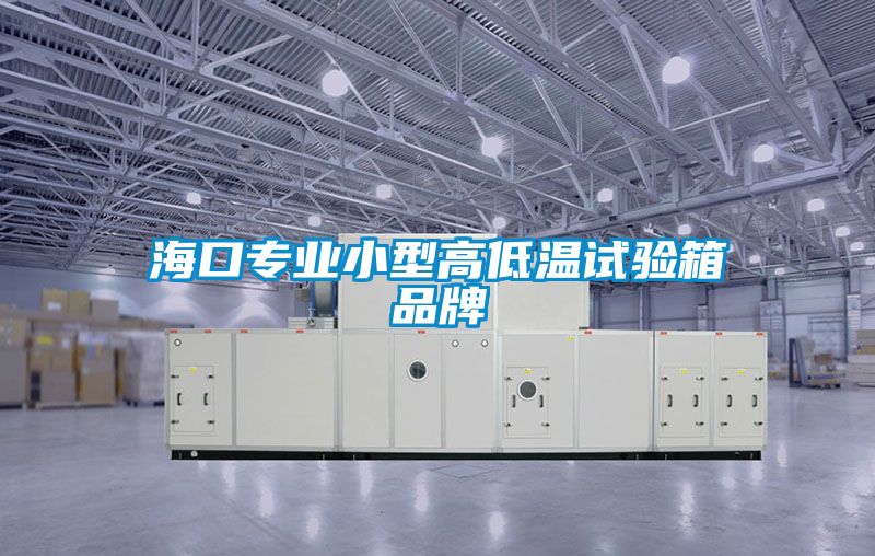 ?？趯I小型高低溫試驗箱品牌