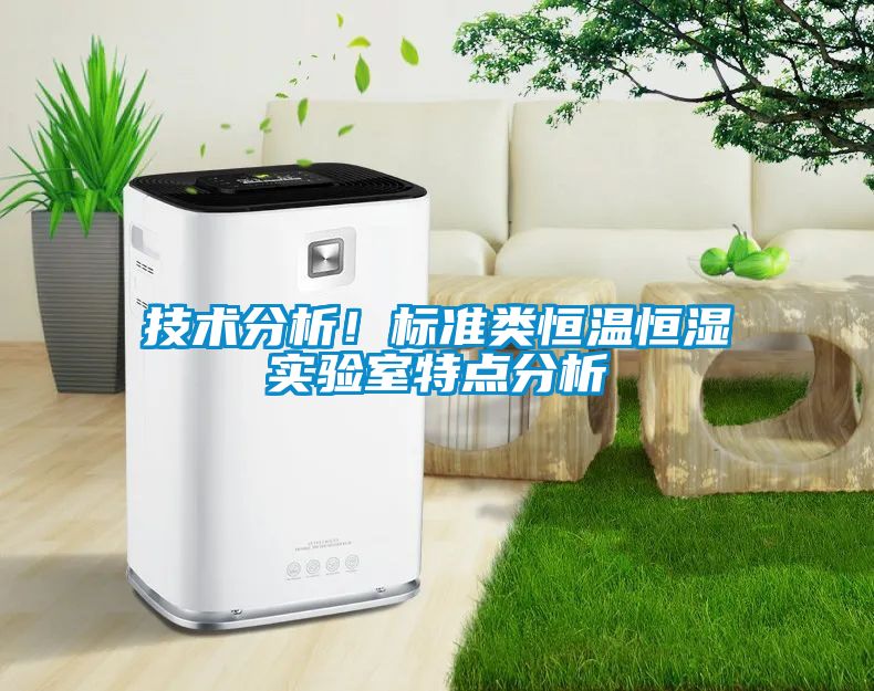 技術分析！標準類恒溫恒濕實驗室特點分析
