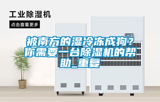 被南方的濕冷凍成狗？你需要一臺除濕機的幫助_重復