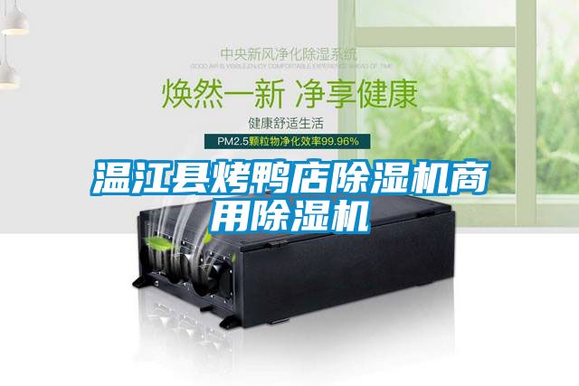 溫江縣烤鴨店除濕機商用除濕機
