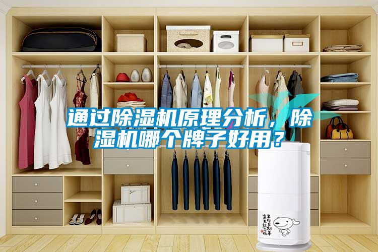 通過除濕機原理分析，除濕機哪個牌子好用？