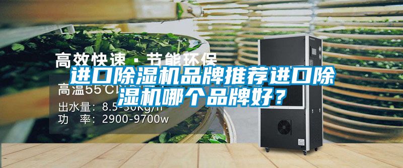 進口除濕機品牌推薦進口除濕機哪個品牌好？