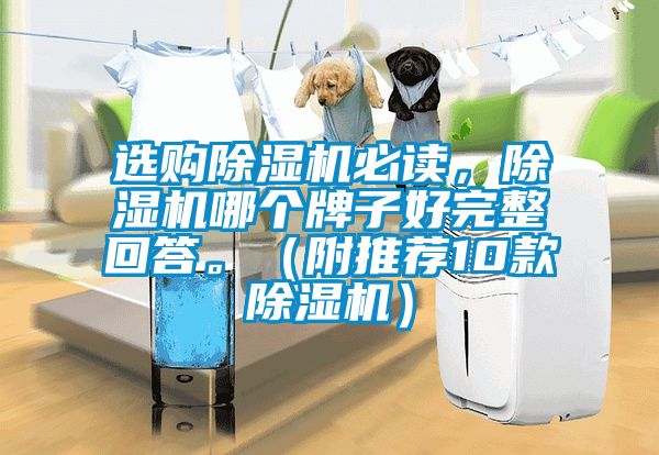 選購除濕機必讀，除濕機哪個牌子好完整回答。（附推薦10款除濕機）