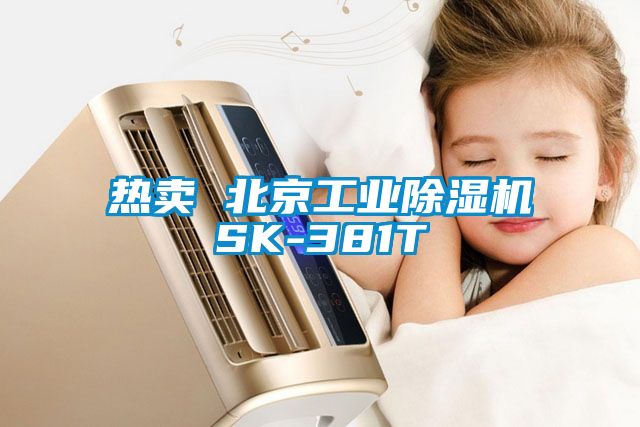 熱賣 北京工業除濕機SK-381T