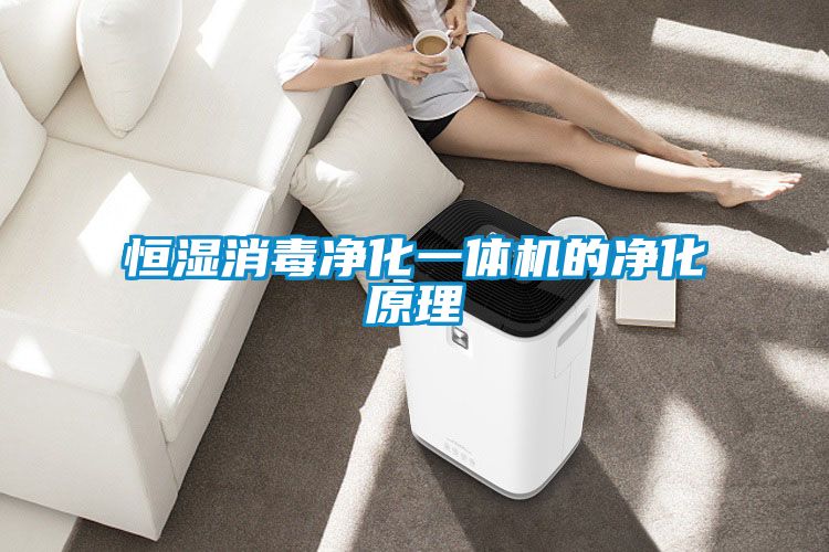 恒濕消毒凈化一體機的凈化原理