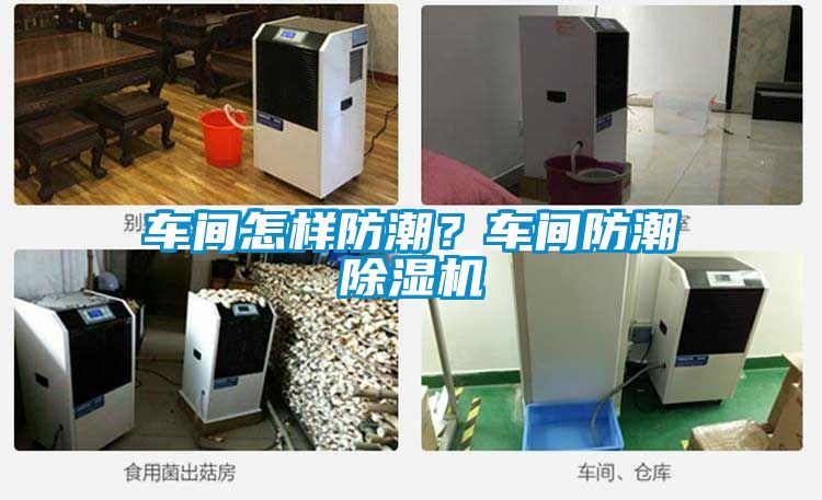 車間怎樣防潮？車間防潮除濕機