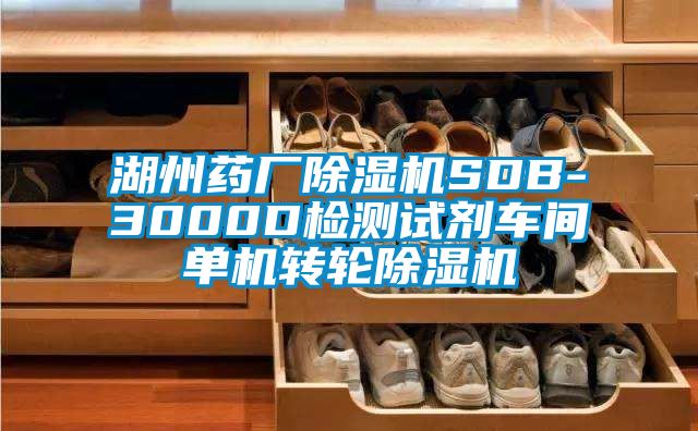湖州藥廠除濕機SDB-3000D檢測試劑車間單機轉輪除濕機