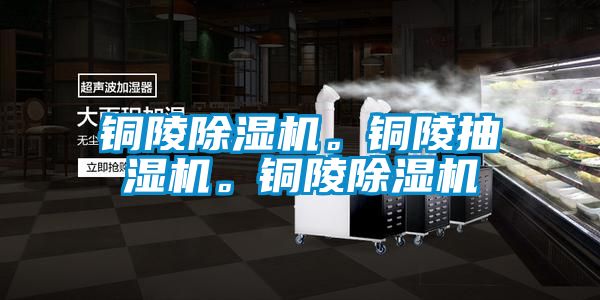 銅陵除濕機。銅陵抽濕機。銅陵除濕機