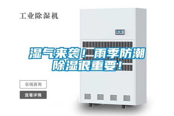 濕氣來襲！雨季防潮除濕很重要！