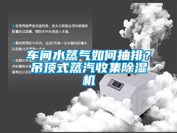 車間水蒸氣如何抽排？吊頂式蒸汽收集除濕機