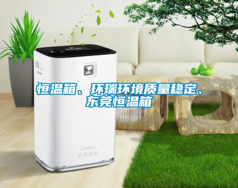 恒溫箱、環瑞環境質量穩定、東莞恒溫箱