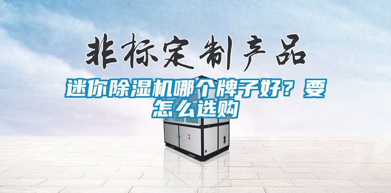迷你除濕機哪個牌子好？要怎么選購