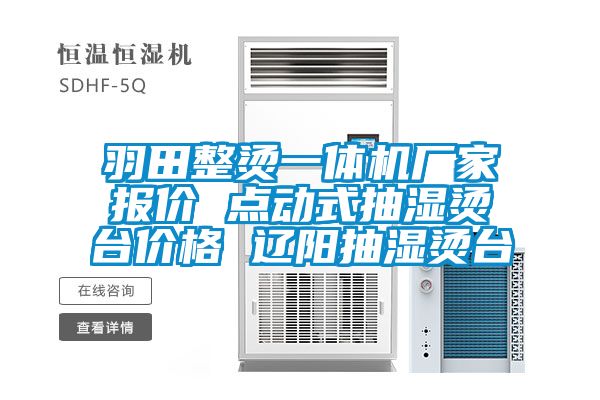 羽田整燙一體機廠家報價 點動式抽濕燙臺價格 遼陽抽濕燙臺