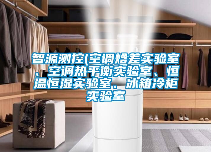 智源測控(空調焓差實驗室、空調熱平衡實驗室、恒溫恒濕實驗室、冰箱冷柜實驗室
