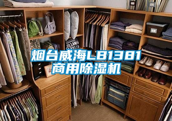 煙臺威海LB1381商用除濕機