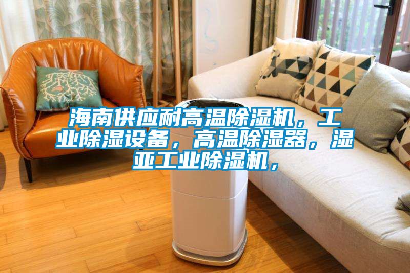 海南供應耐高溫除濕機，工業除濕設備，高溫除濕器，濕亞工業除濕機，
