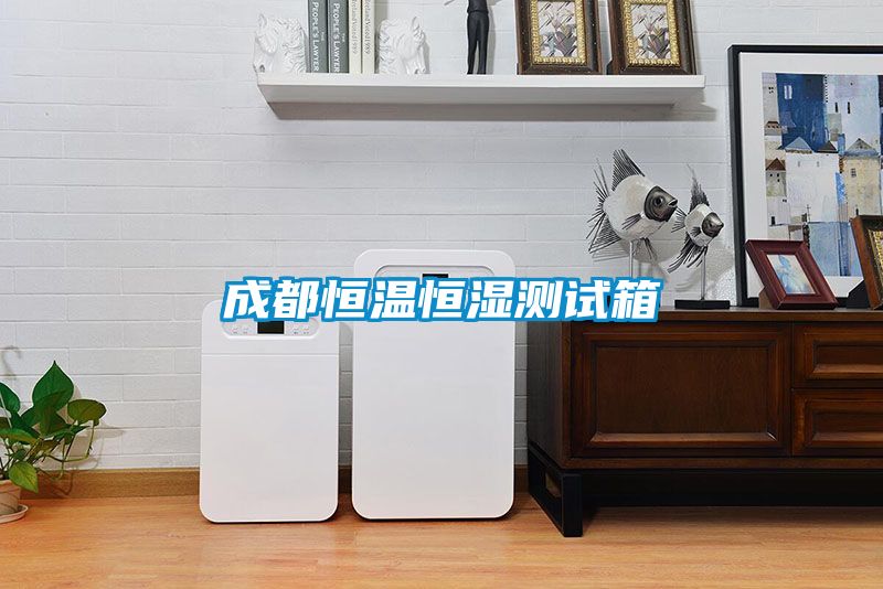 成都恒溫恒濕測試箱