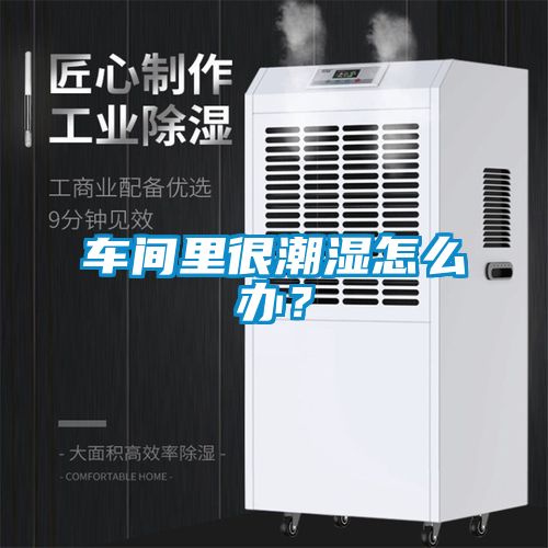 車間里很潮濕怎么辦？