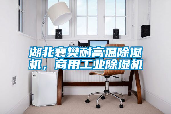湖北襄樊耐高溫除濕機，商用工業除濕機