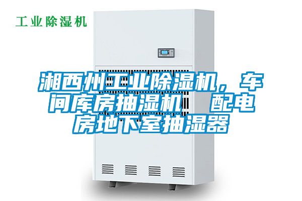 湘西州工業除濕機，車間庫房抽濕機  配電房地下室抽濕器