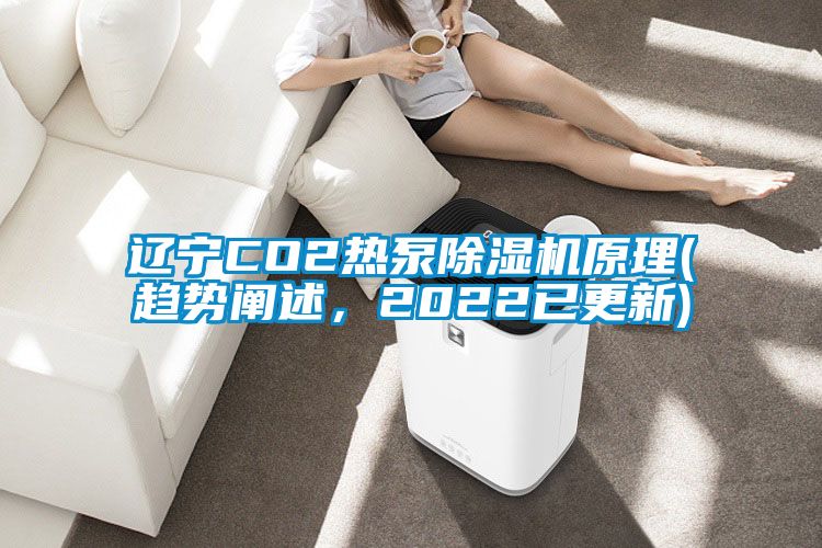 遼寧CO2熱泵除濕機原理(趨勢闡述，2022已更新)
