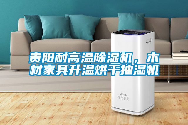 貴陽耐高溫除濕機，木材家具升溫烘干抽濕機