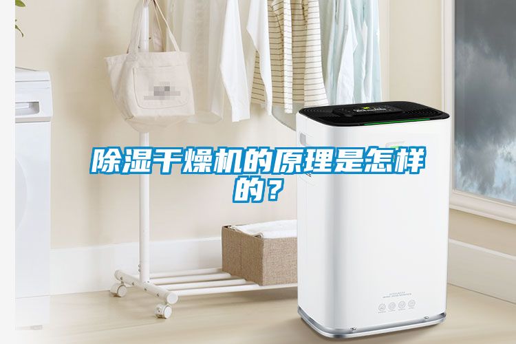 除濕干燥機的原理是怎樣的？