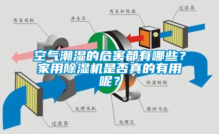 空氣潮濕的危害都有哪些？家用除濕機是否真的有用呢？
