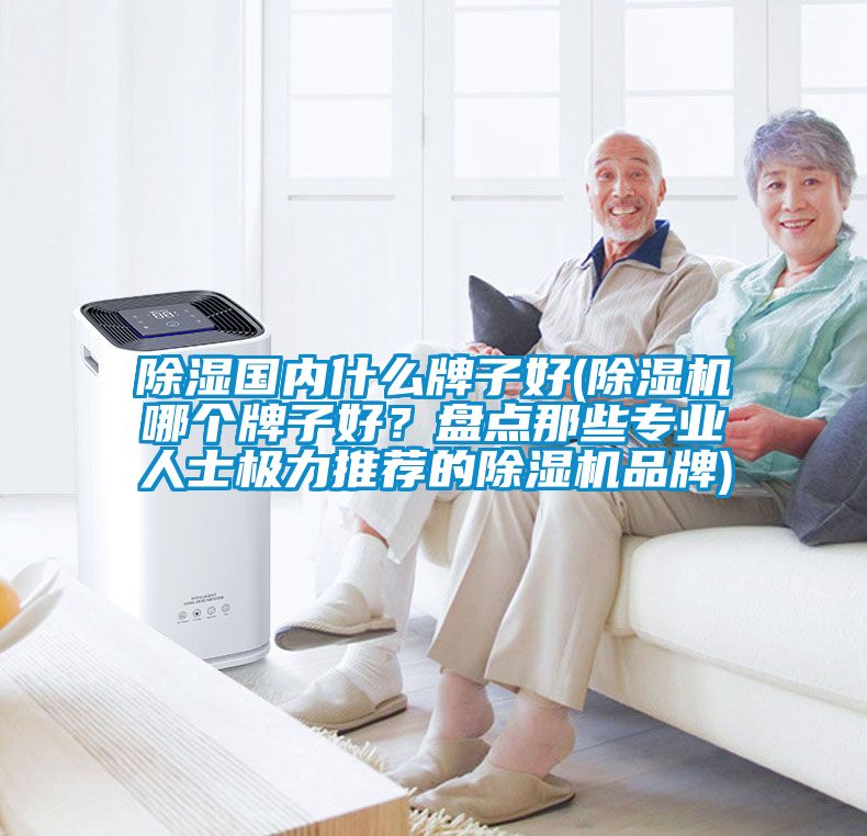 除濕國內什么牌子好(除濕機哪個牌子好？盤點那些專業人士極力推薦的除濕機品牌)
