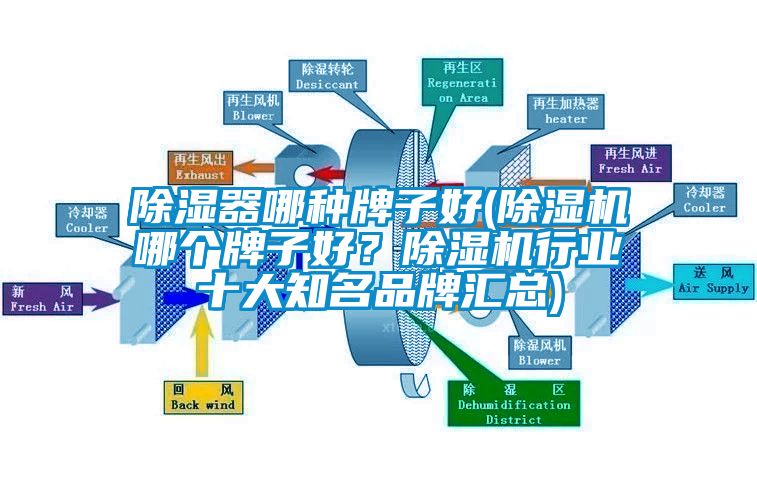 除濕器哪種牌子好(除濕機哪個牌子好？除濕機行業十大知名品牌匯總)