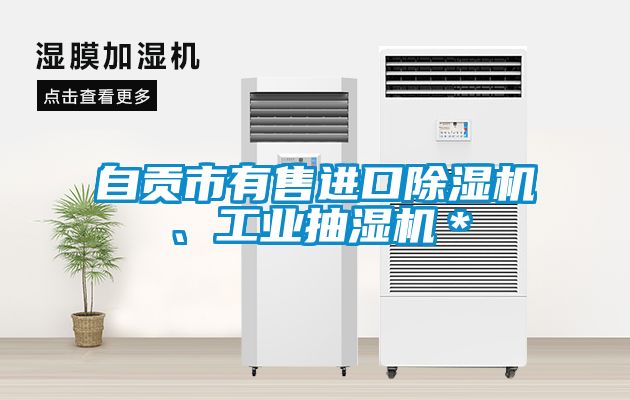 自貢市有售進口除濕機、工業抽濕機＊