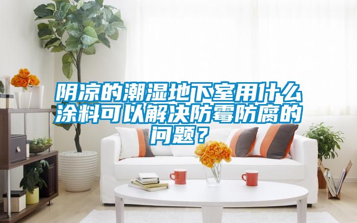 陰涼的潮濕地下室用什么涂料可以解決防霉防腐的問題？