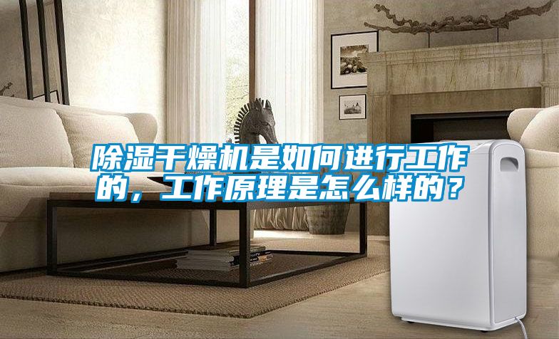 除濕干燥機是如何進行工作的，工作原理是怎么樣的？