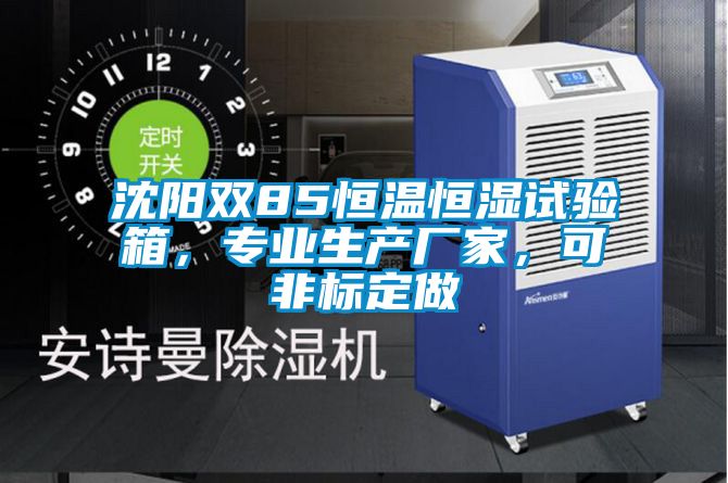 沈陽雙85恒溫恒濕試驗箱，專業生產廠家，可非標定做