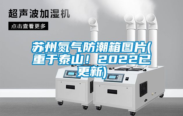蘇州氮氣防潮箱圖片(重于泰山！2022已更新)