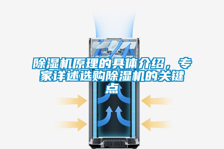 除濕機原理的具體介紹，專家詳述選購除濕機的關鍵點