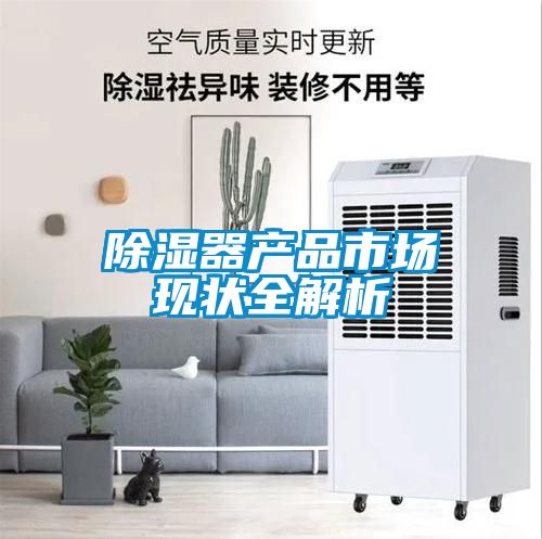除濕器產品市場現狀全解析