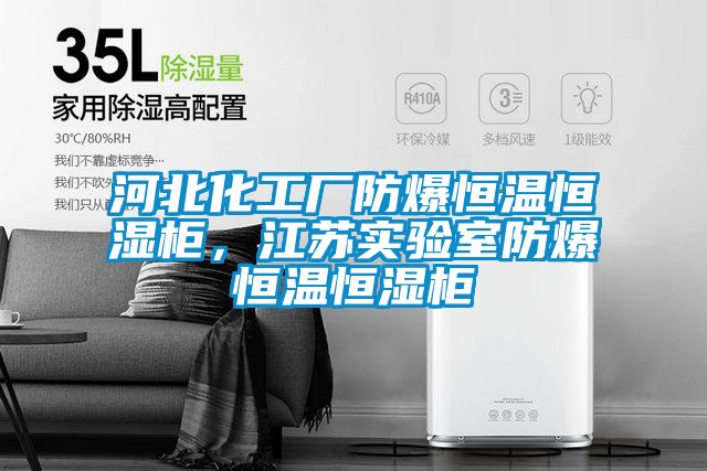 河北化工廠防爆恒溫恒濕柜，江蘇實驗室防爆恒溫恒濕柜