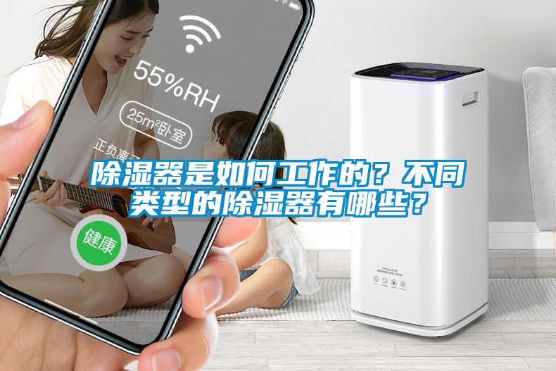 除濕器是如何工作的？不同類型的除濕器有哪些？